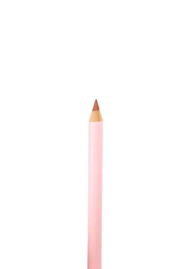 #14 - POSH PINK LIP KIT